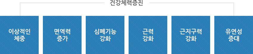 건강체력증진-이상적인체중,면역력증가,심폐기능 강화, 근력강화, 근지구력강화, 유연성증대